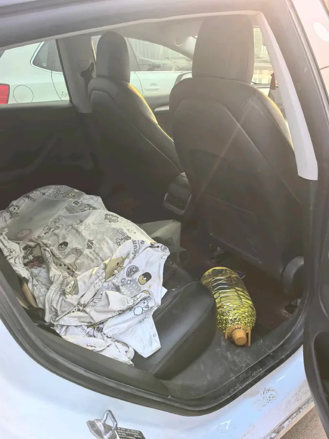 2021 Tesla Model 3 BEV 55KWH,autocango,china used car exporter,china ev exporter,chinese used car exporter,chinese used ev exporter