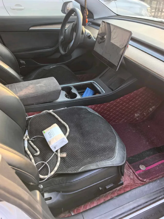 2021 Tesla Model 3 BEV 55KWH,autocango,china used car exporter,china ev exporter,chinese used car exporter,chinese used ev exporter