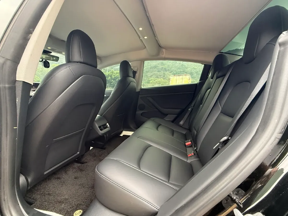 2022 Tesla Model 3 BEV 60KWH,autocango,china used car exporter,china ev exporter,chinese used car exporter,chinese used ev exporter