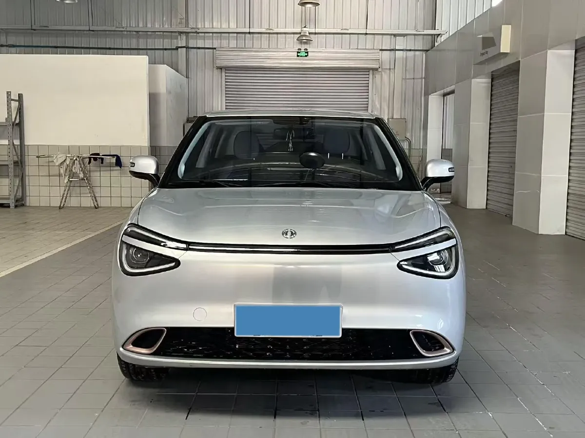 2024 DongFeng eπ 01 BEV 31.45KWH,autocango,china used car exporter,china ev exporter,chinese used car exporter,chinese used ev exporter