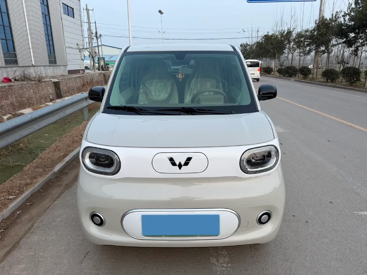 2024 WuLing HongGuang MINI EV BEV 17.3KWH,autocango,china used car exporter,china ev exporter,chinese used car exporter,chinese used ev exporter