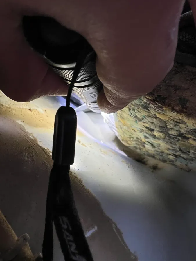 2020 Nissan Terra 2.5L 193HP L4 7AT,autocango,china used car exporter,china ev exporter,chinese used car exporter,chinese used ev exporter