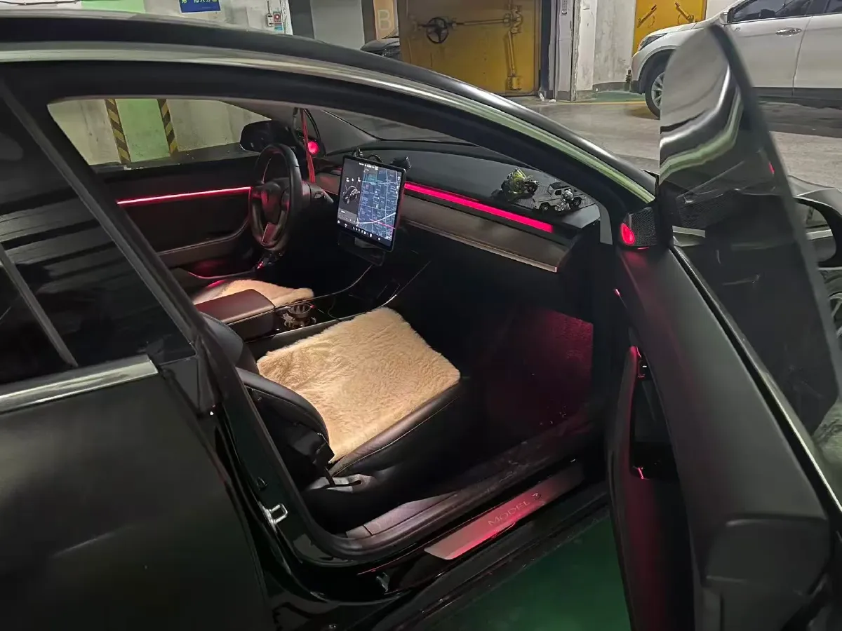 2020 Tesla Model 3 BEV 55KWH,autocango,china used car exporter,china ev exporter,chinese used car exporter,chinese used ev exporter