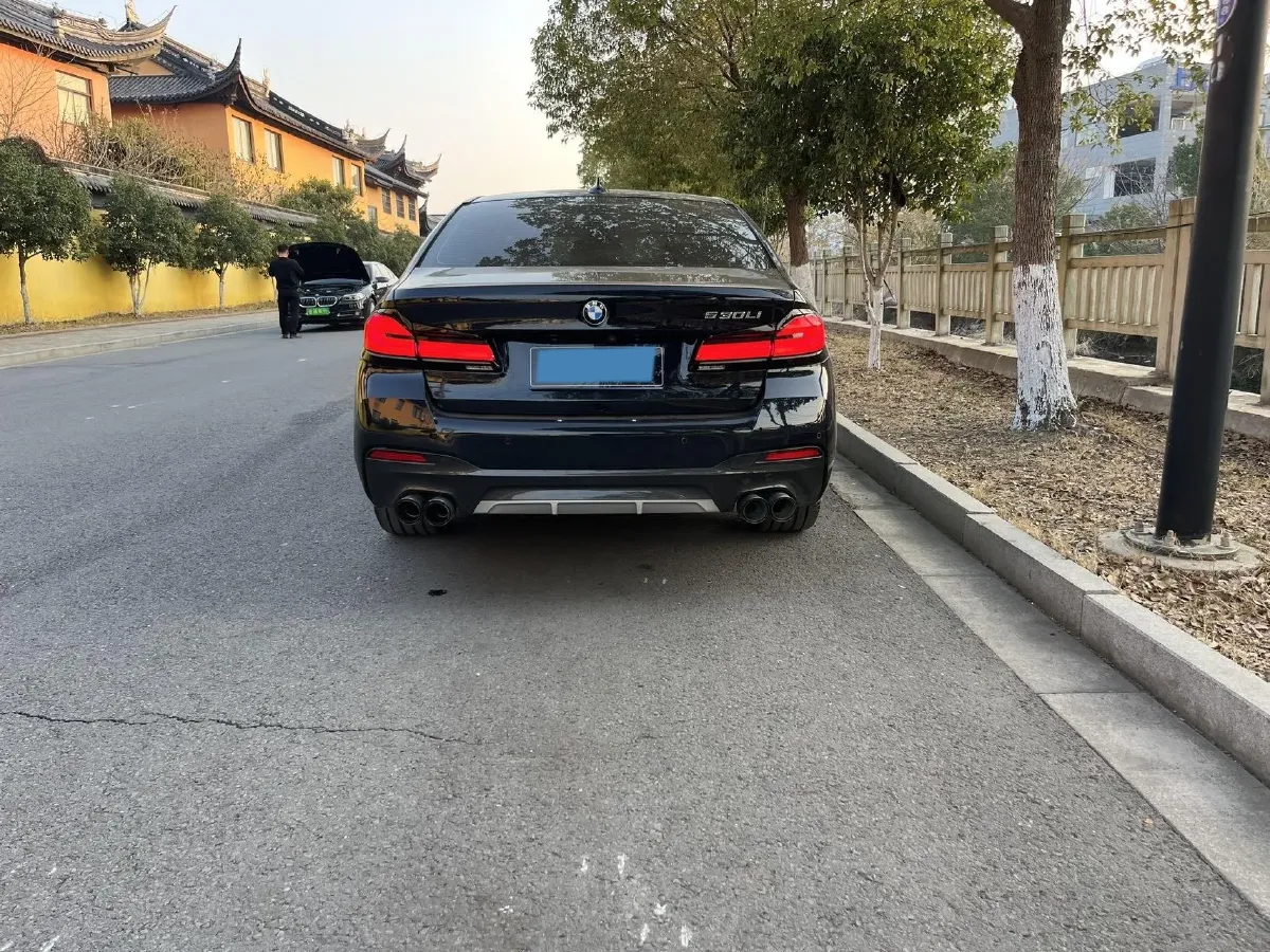 2021 BMW 5 Series 2.0T 252HP L4 8AT,autocango,china used car exporter,china ev exporter,chinese used car exporter,chinese used ev exporter