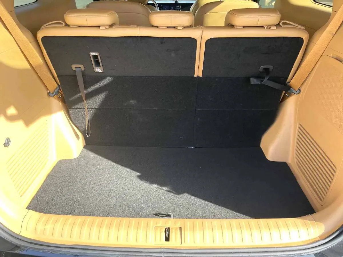 2024 Voyah Dream 1.5T 150HP L4 PHEV 43KWH,autocango,china used car exporter,china ev exporter,chinese used car exporter,chinese used ev exporter