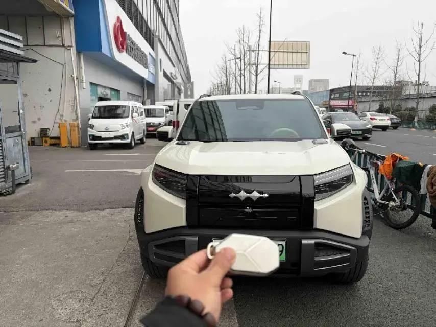 2025 FangChengBao Tai 3 BEV,autocango,china used car exporter,china ev exporter,chinese used car exporter,chinese used ev exporter