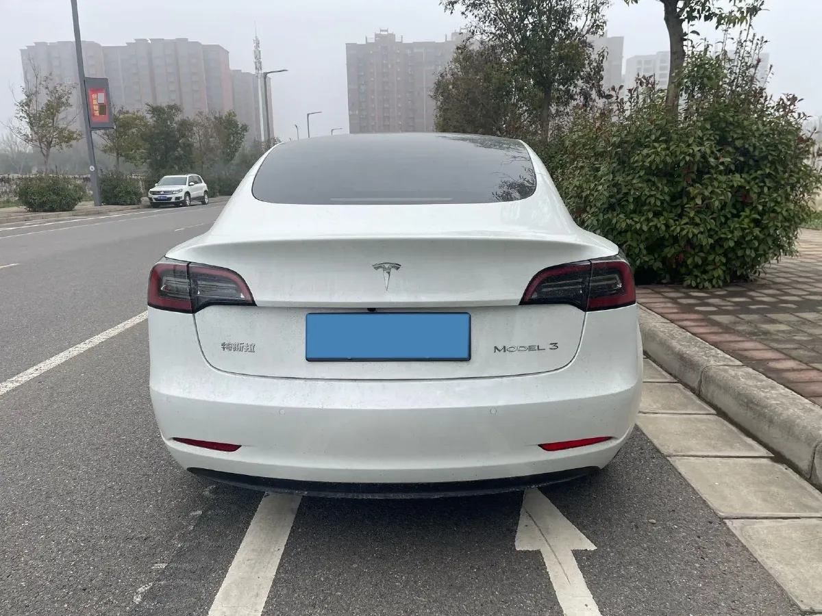 2022 Tesla Model 3 BEV 60KWH,autocango,china used car exporter,china ev exporter,chinese used car exporter,chinese used ev exporter