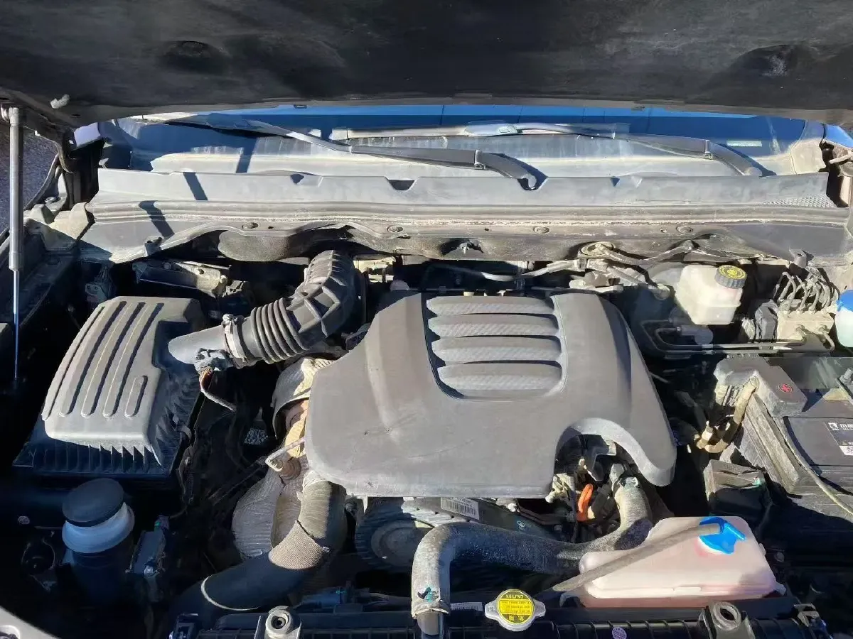 2020 Great Wall Poer 2.0T 163HP L4 8AT,autocango,china used car exporter,china ev exporter,chinese used car exporter,chinese used ev exporter