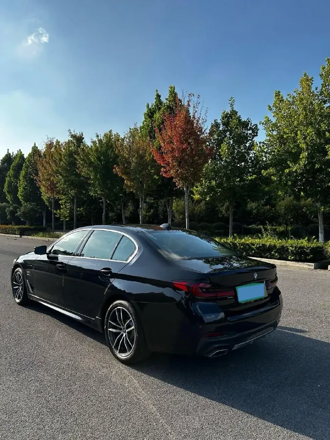 2021 BMW 5 Series 2.0T 184HP L4 8AT PHEV 17.7KWH,autocango,china used car exporter,china ev exporter,chinese used car exporter,chinese used ev exporter