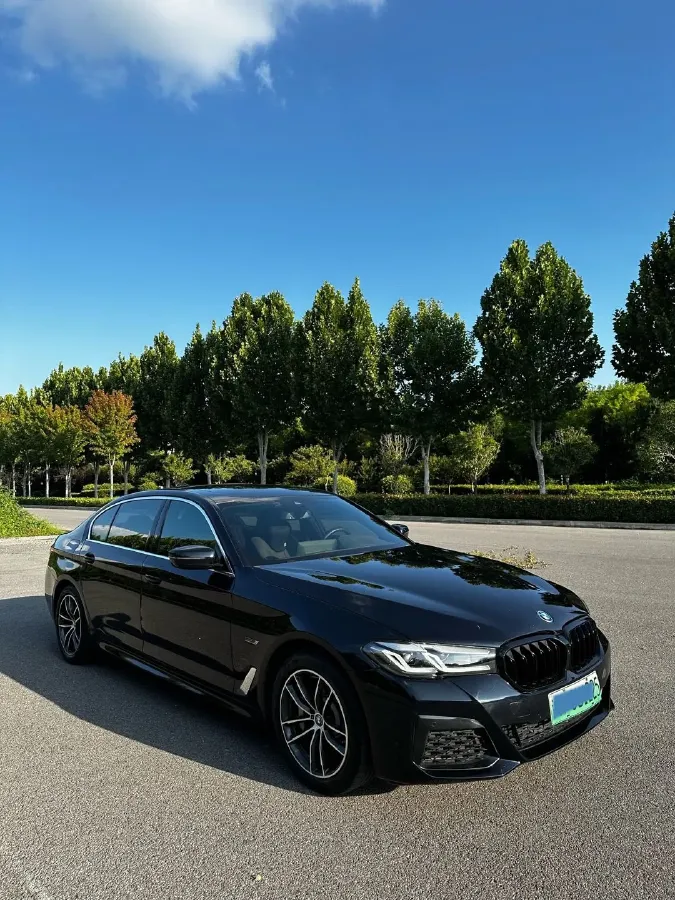2021 BMW 5 Series 2.0T 184HP L4 8AT PHEV 17.7KWH,autocango,china used car exporter,china ev exporter,chinese used car exporter,chinese used ev exporter