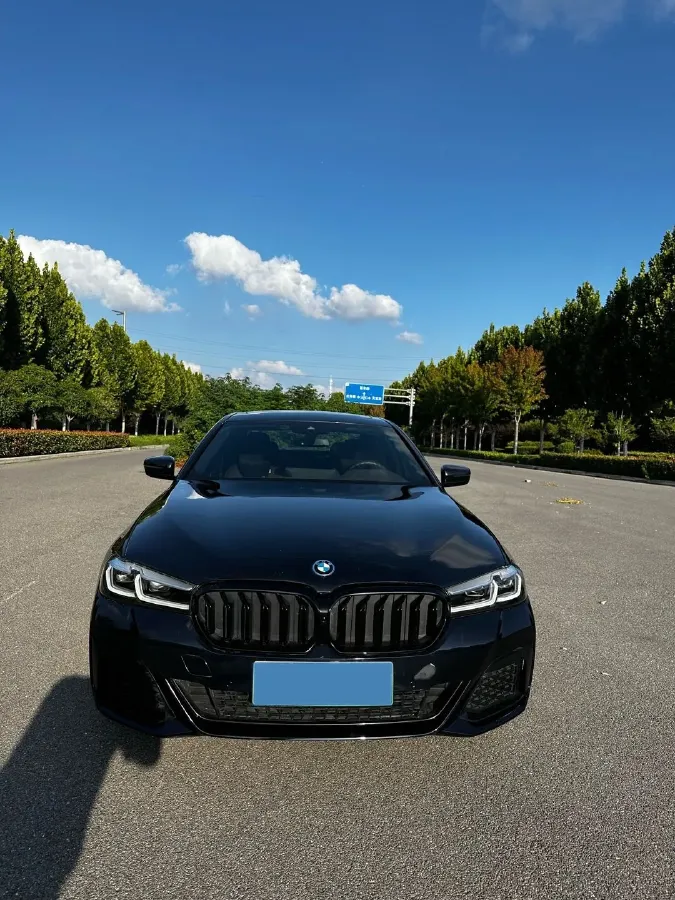2021 BMW 5 Series 2.0T 184HP L4 8AT PHEV 17.7KWH,autocango,china used car exporter,china ev exporter,chinese used car exporter,chinese used ev exporter