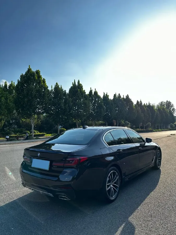 2021 BMW 5 Series 2.0T 184HP L4 8AT PHEV 17.7KWH,autocango,china used car exporter,china ev exporter,chinese used car exporter,chinese used ev exporter