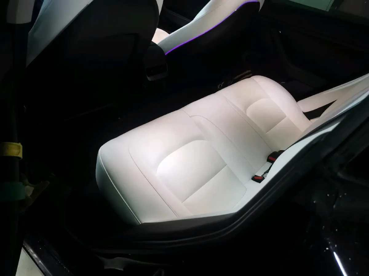 2022 Tesla Model 3 BEV 60KWH,autocango,china used car exporter,china ev exporter,chinese used car exporter,chinese used ev exporter