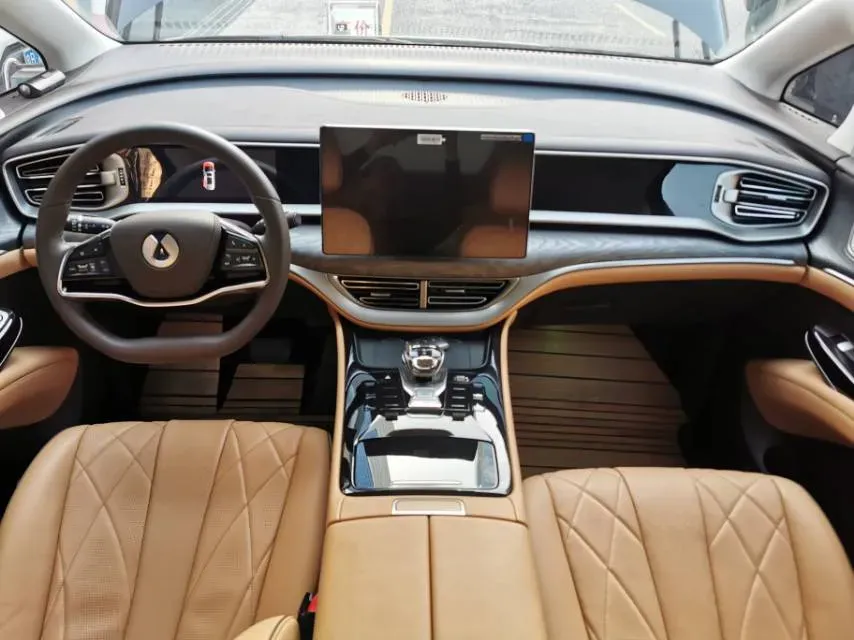 2024 Denza D9 1.5T 139HP L4 E-CVT PHEV 40KWH,autocango,china used car exporter,china ev exporter,chinese used car exporter,chinese used ev exporter