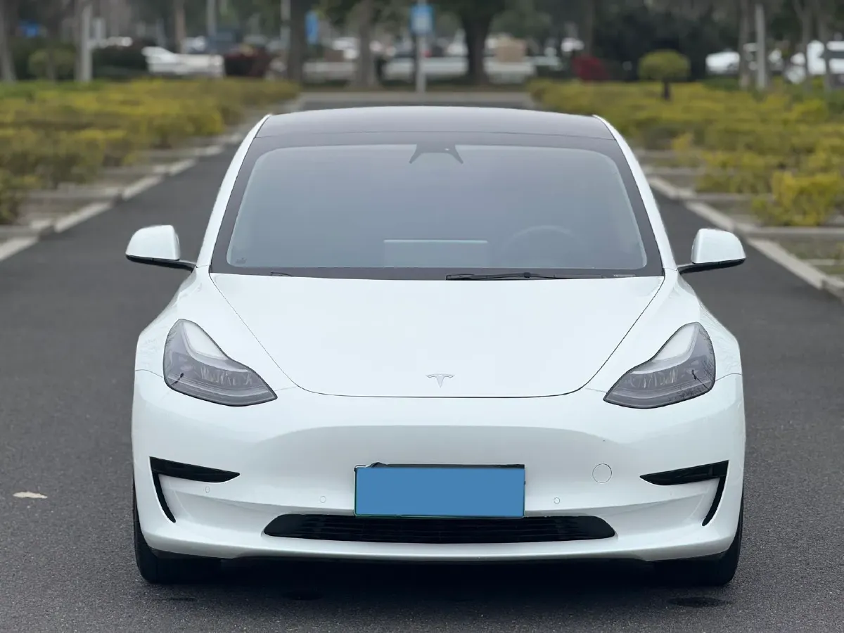 2021 Tesla Model 3 BEV 55KWH,autocango,china used car exporter,china ev exporter,chinese used car exporter,chinese used ev exporter