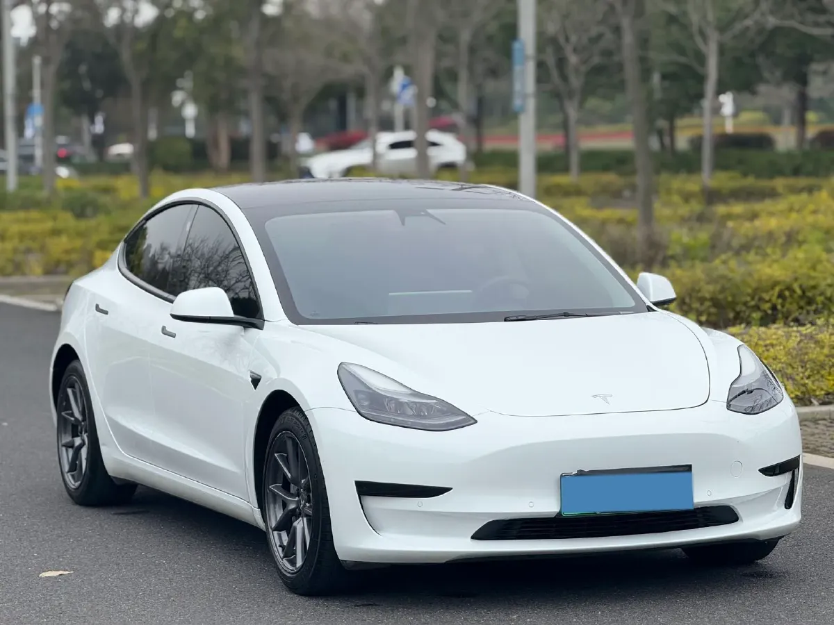 2021 Tesla Model 3 BEV 55KWH,autocango,china used car exporter,china ev exporter,chinese used car exporter,chinese used ev exporter
