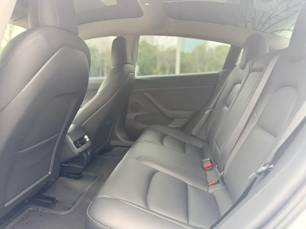 2021 Tesla Model 3 BEV 55KWH,autocango,china used car exporter,china ev exporter,chinese used car exporter,chinese used ev exporter