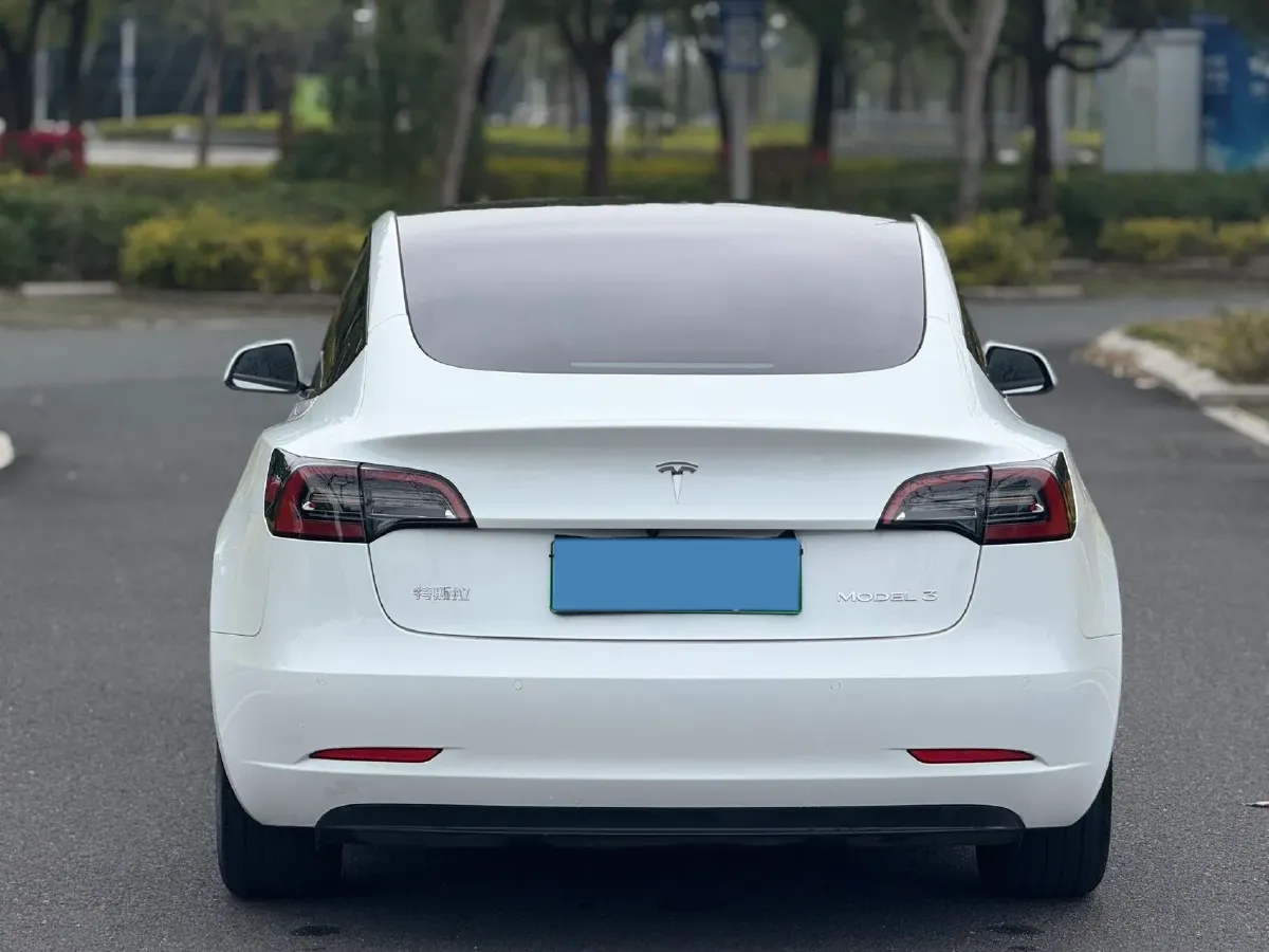 2021 Tesla Model 3 BEV 55KWH,autocango,china used car exporter,china ev exporter,chinese used car exporter,chinese used ev exporter