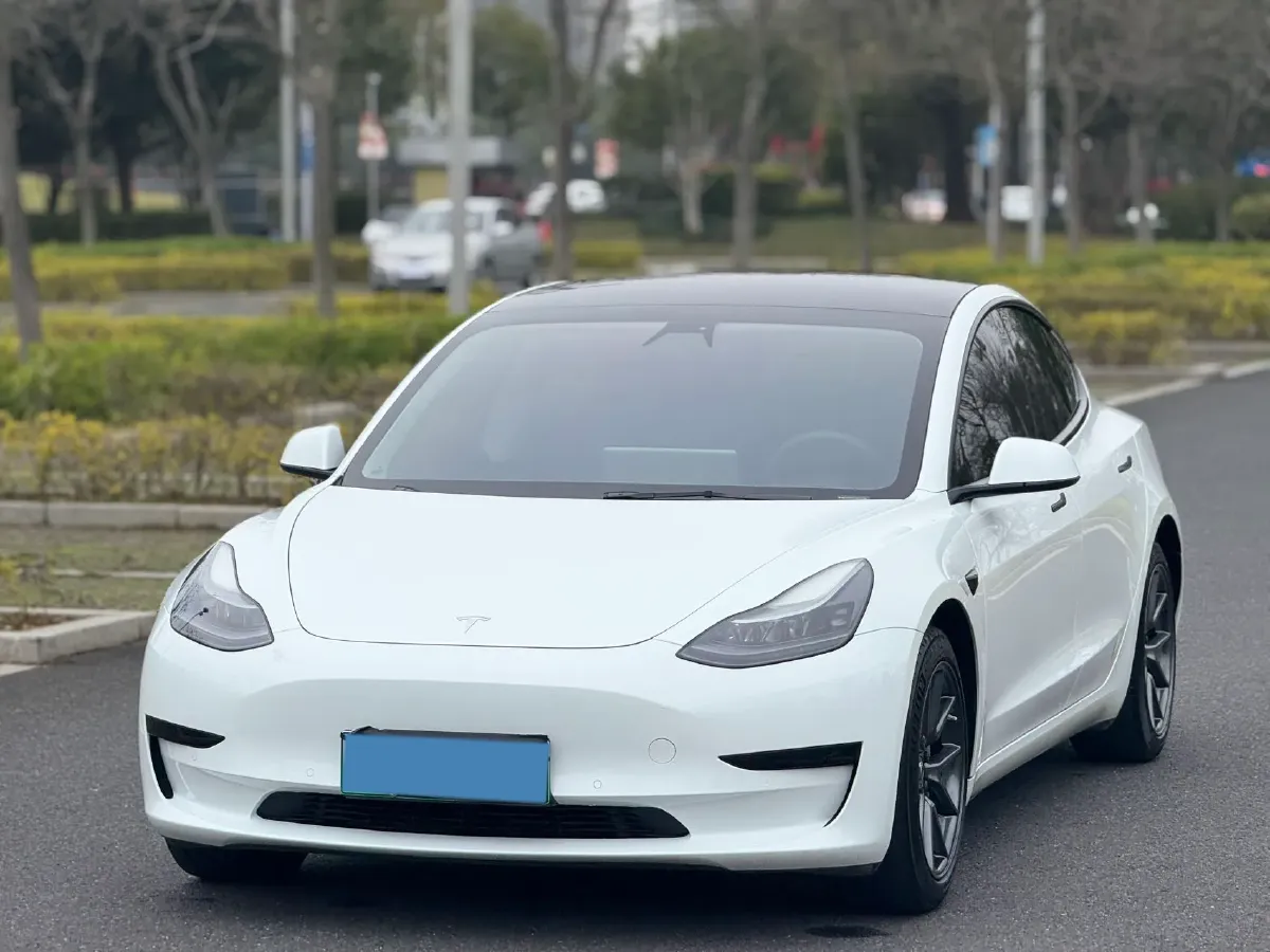2021 Tesla Model 3 BEV 55KWH,autocango,china used car exporter,china ev exporter,chinese used car exporter,chinese used ev exporter