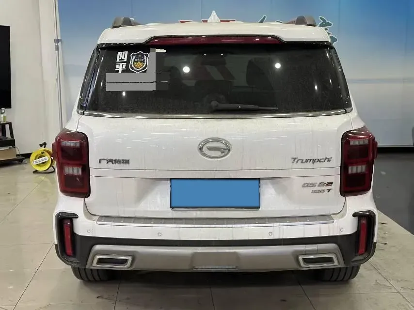 2020 GAC Trumpchi GS8 2.0T 252HP L4 6AT,autocango,china used car exporter,china ev exporter,chinese used car exporter,chinese used ev exporter