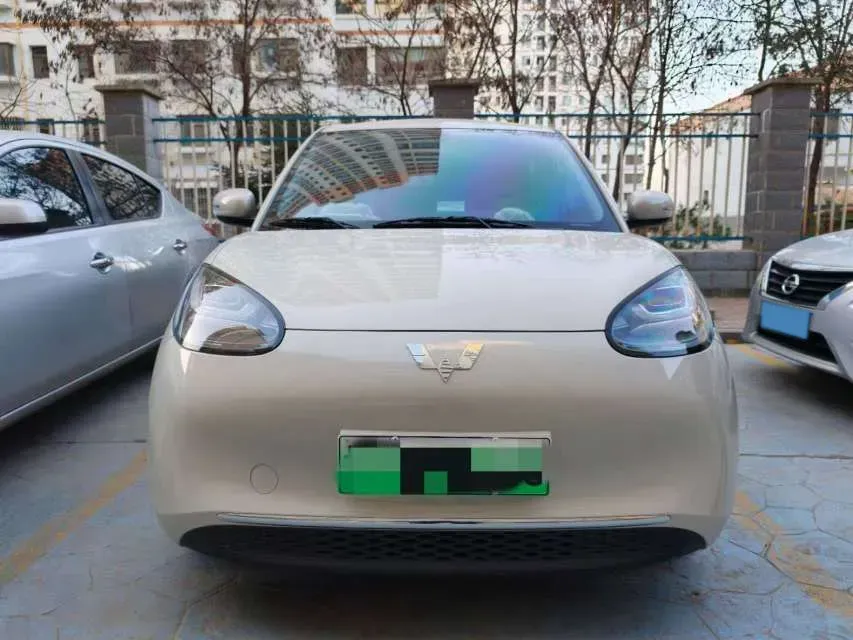 2024 WuLing BinGuo BEV 31.9KWH,autocango,china used car exporter,china ev exporter,chinese used car exporter,chinese used ev exporter