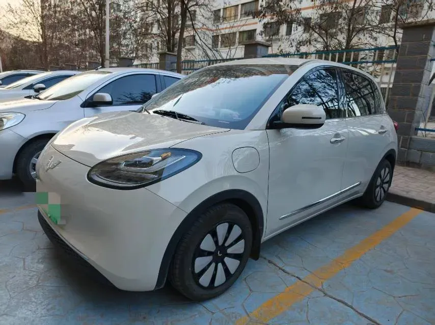 2024 WuLing BinGuo BEV 31.9KWH,autocango,china used car exporter,china ev exporter,chinese used car exporter,chinese used ev exporter