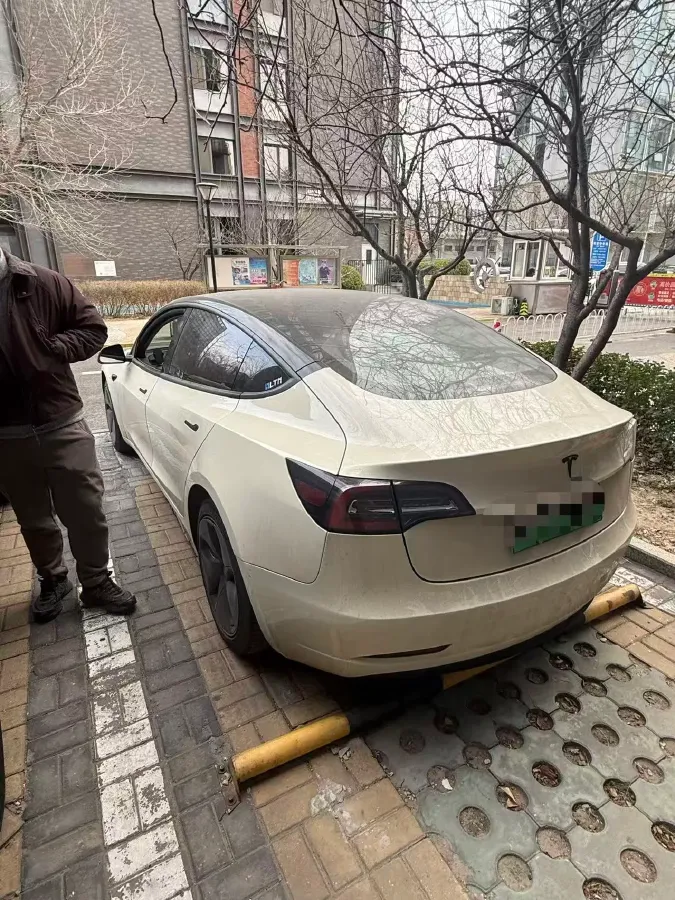 2020 Tesla Model 3 BEV 76.8KWH,autocango,china used car exporter,china ev exporter,chinese used car exporter,chinese used ev exporter