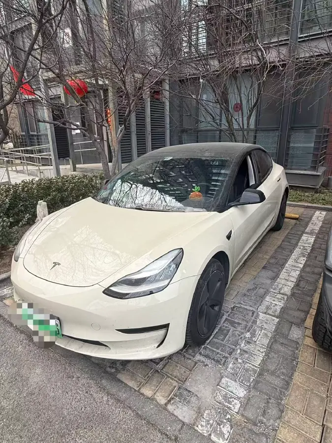 2020 Tesla Model 3 BEV 76.8KWH,autocango,china used car exporter,china ev exporter,chinese used car exporter,chinese used ev exporter