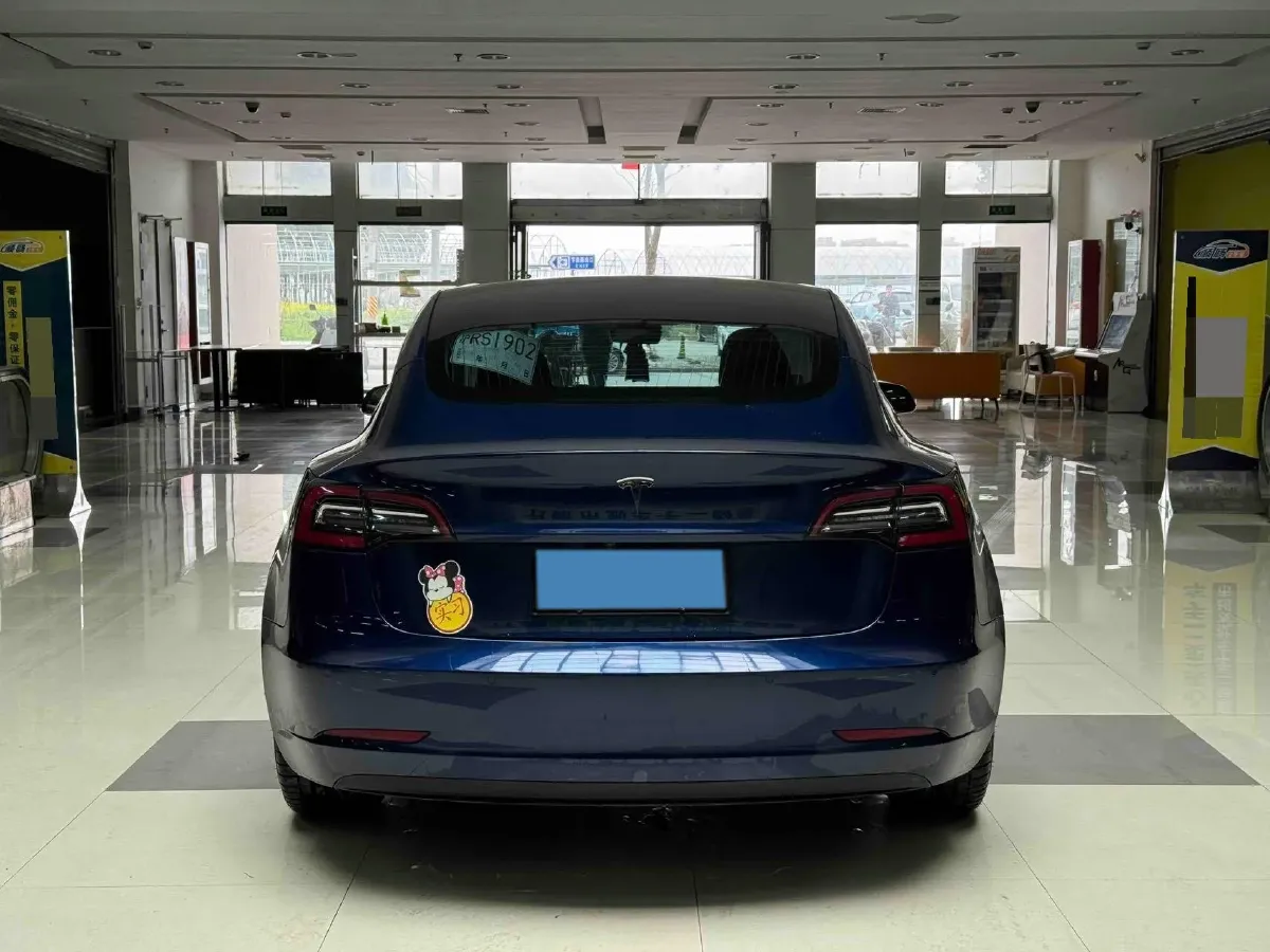 2019 Tesla Model 3 BEV 60KWH,autocango,china used car exporter,china ev exporter,chinese used car exporter,chinese used ev exporter