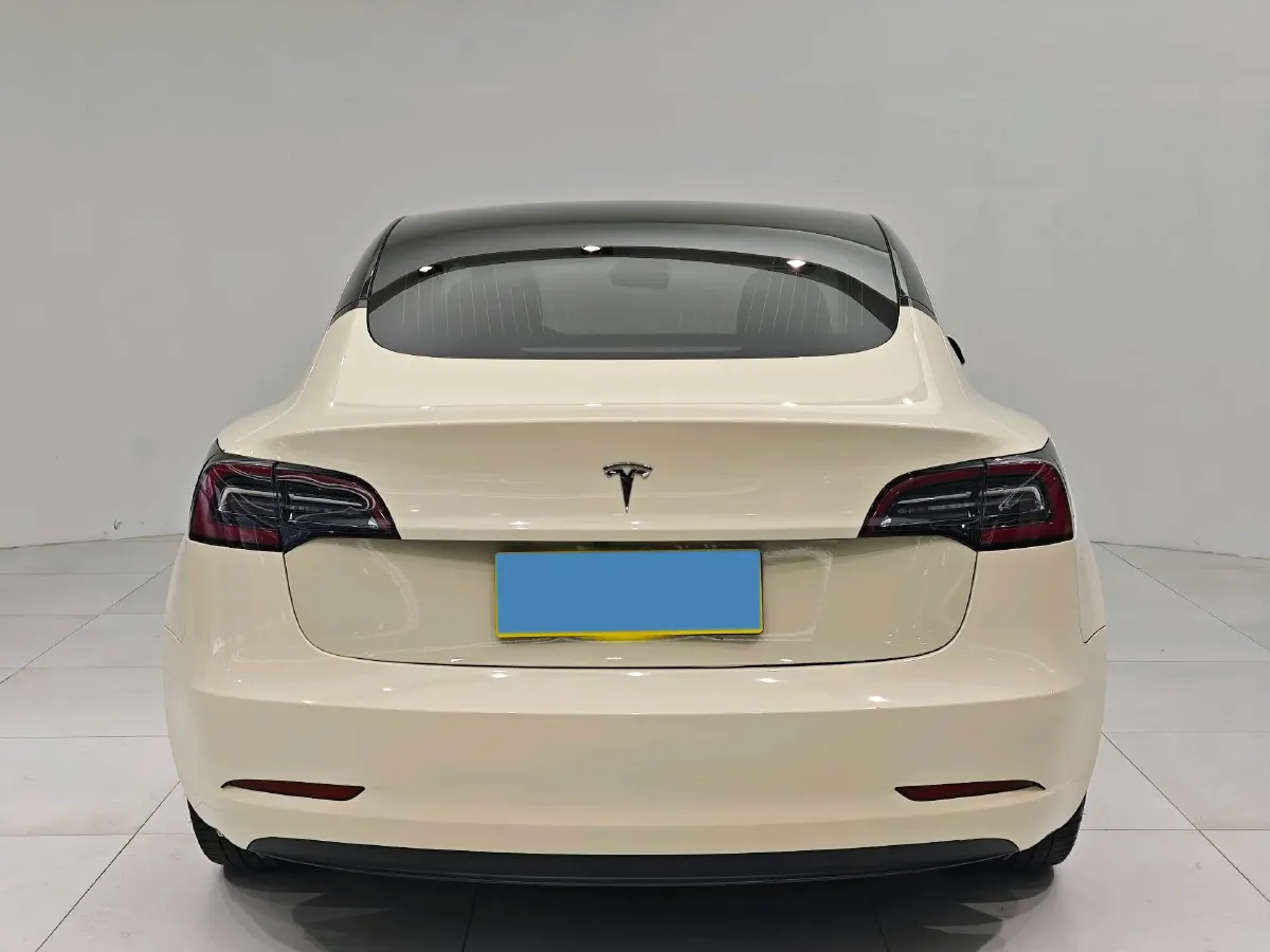2019 Tesla Model 3 BEV 60KWH,autocango,china used car exporter,china ev exporter,chinese used car exporter,chinese used ev exporter