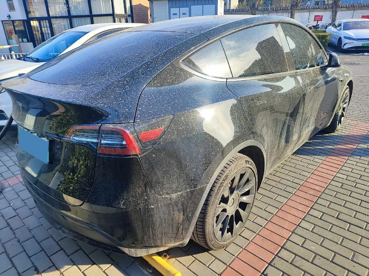 2021 Tesla Model 3 BEV 76.8KWH,autocango,china used car exporter,china ev exporter,chinese used car exporter,chinese used ev exporter