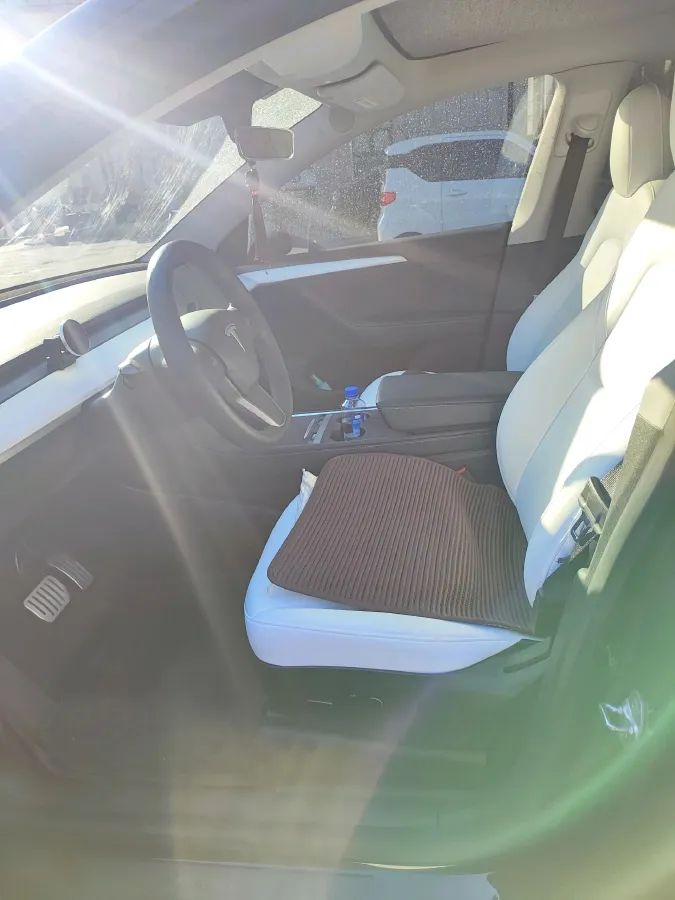 2021 Tesla Model 3 BEV 76.8KWH,autocango,china used car exporter,china ev exporter,chinese used car exporter,chinese used ev exporter