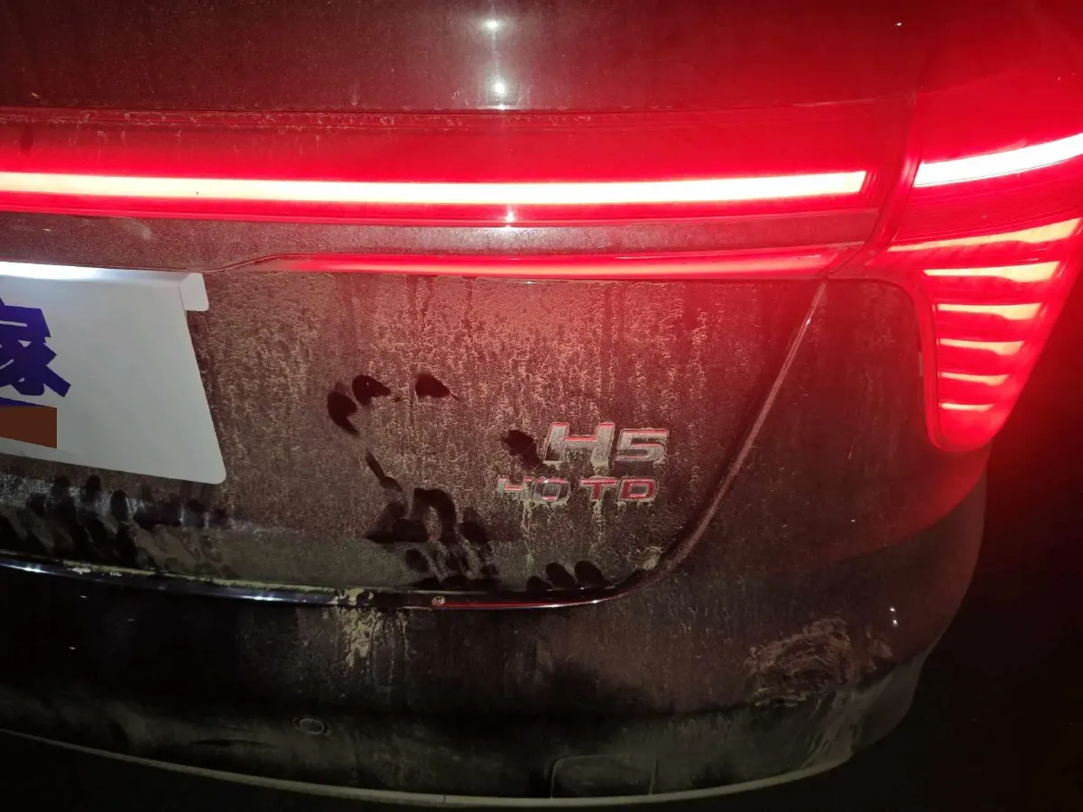 2023 HongQi H5 2.0T 224HP L4 8AT,autocango,china used car exporter,china ev exporter,chinese used car exporter,chinese used ev exporter