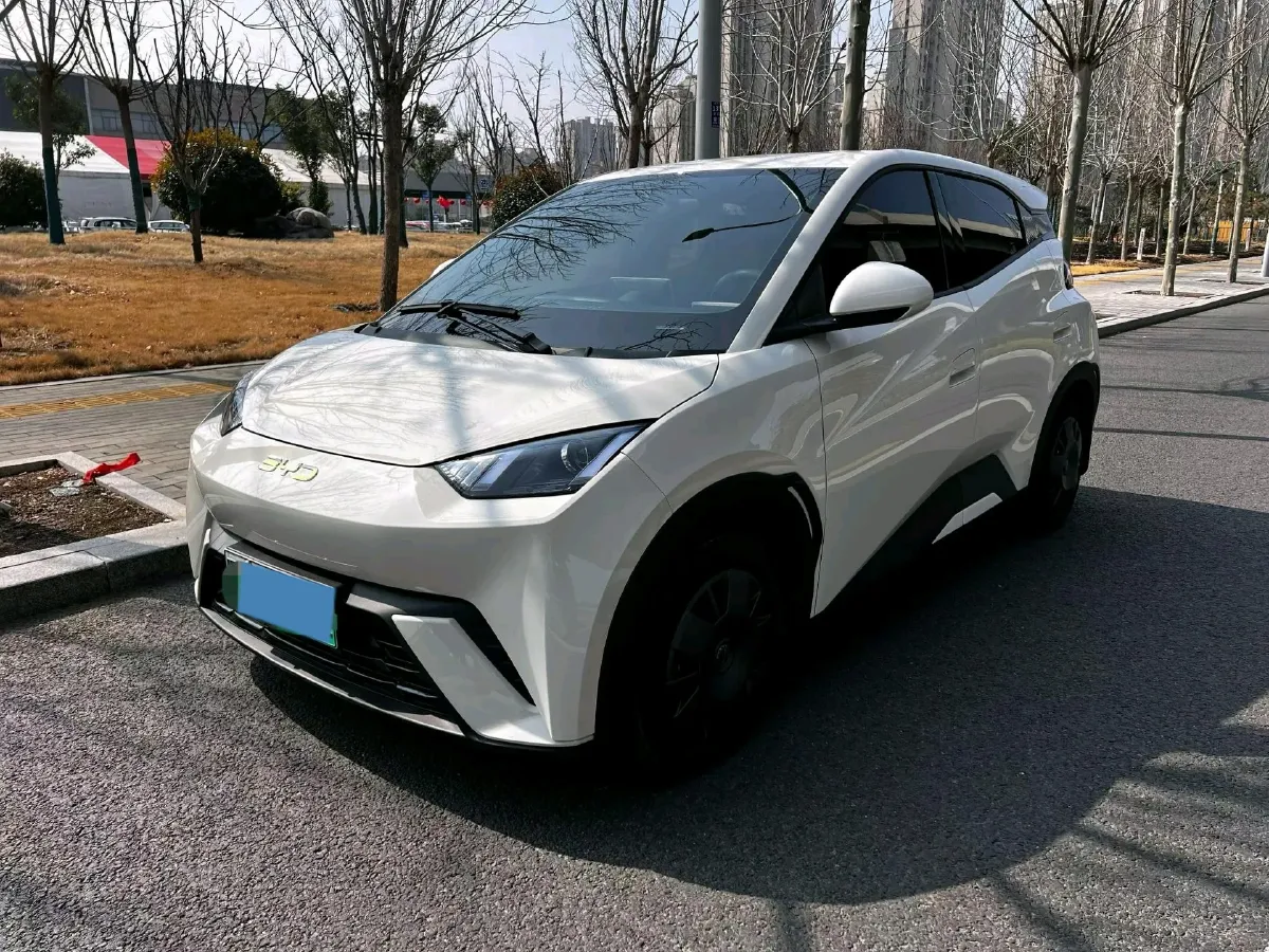 2024 BYD Seagull BEV 30.08KWH,autocango,china used car exporter,china ev exporter,chinese used car exporter,chinese used ev exporter