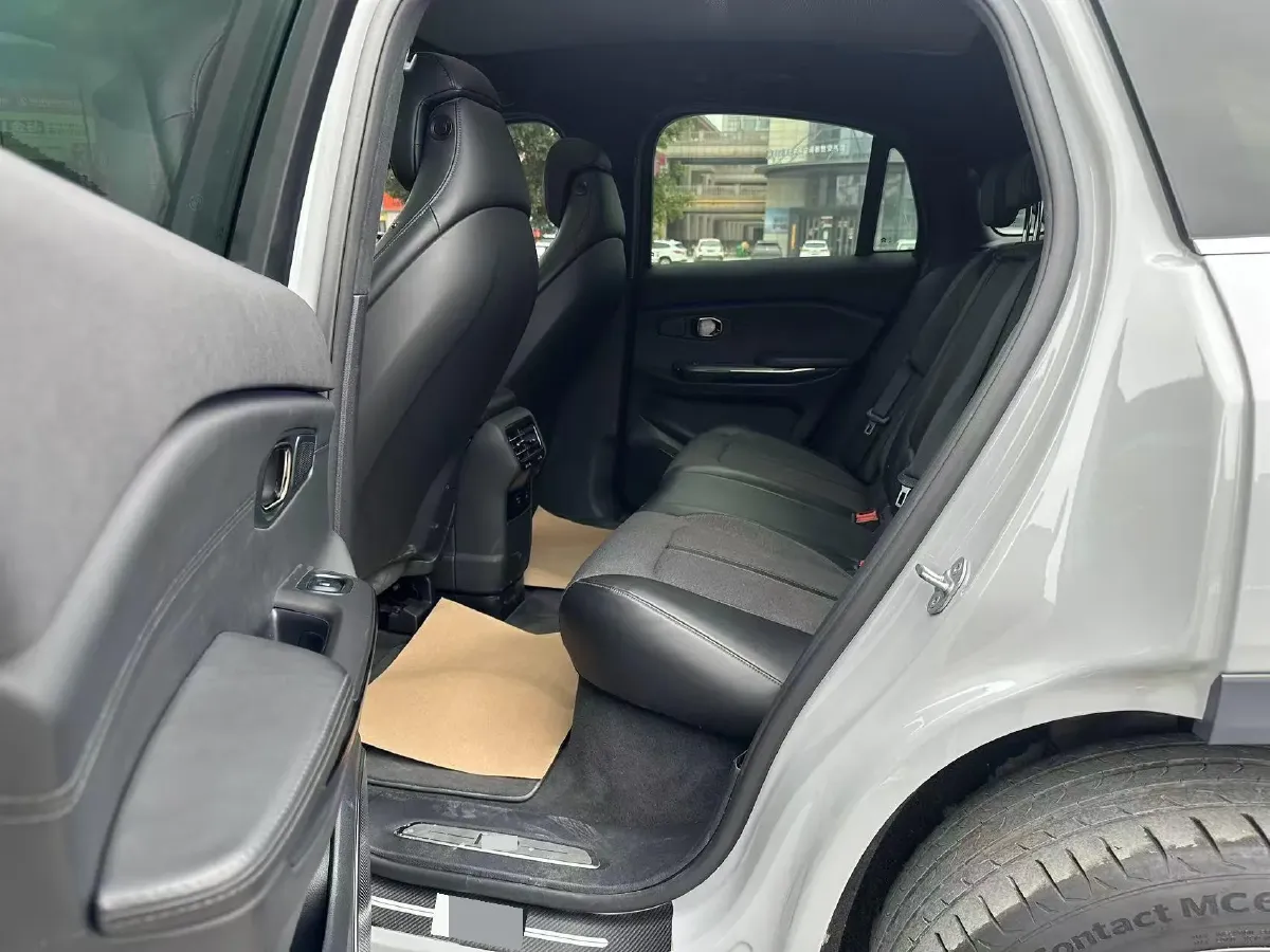 2021 Tesla Model 3 BEV 55KWH,autocango,china used car exporter,china ev exporter,chinese used car exporter,chinese used ev exporter