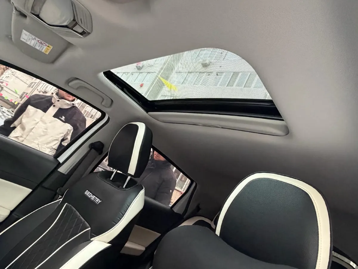 2024 Geometry E BEV 29.67KWH,autocango,china used car exporter,china ev exporter,chinese used car exporter,chinese used ev exporter