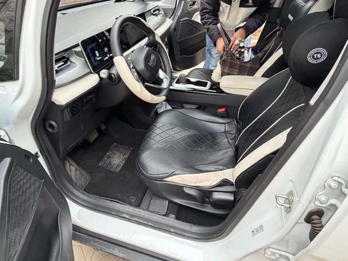 2024 Geometry E BEV 29.67KWH,autocango,china used car exporter,china ev exporter,chinese used car exporter,chinese used ev exporter