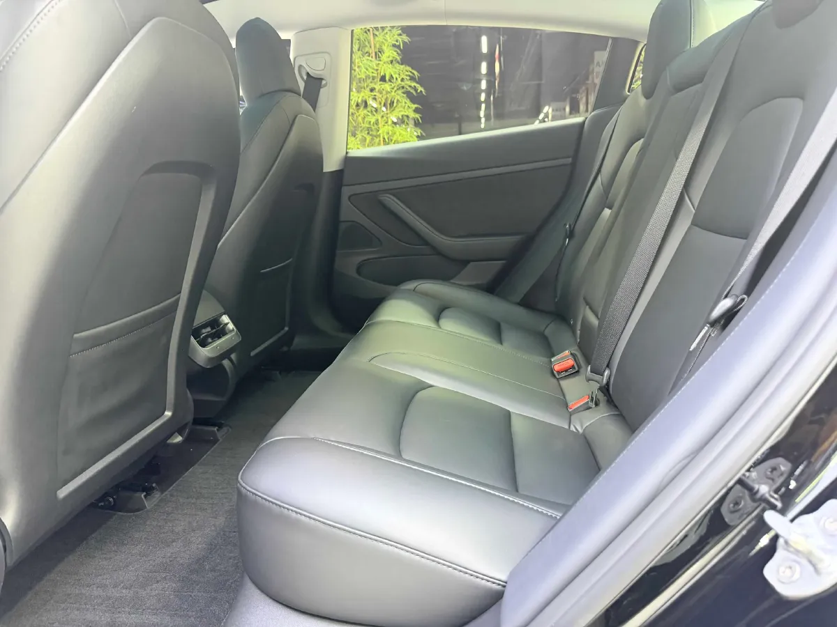 2021 Tesla Model 3 BEV 55KWH,autocango,china used car exporter,china ev exporter,chinese used car exporter,chinese used ev exporter