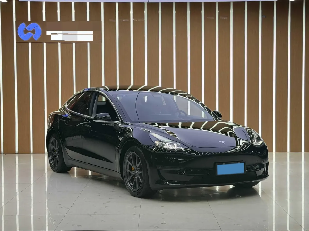 2021 Tesla Model 3 BEV 55KWH,autocango,china used car exporter,china ev exporter,chinese used car exporter,chinese used ev exporter