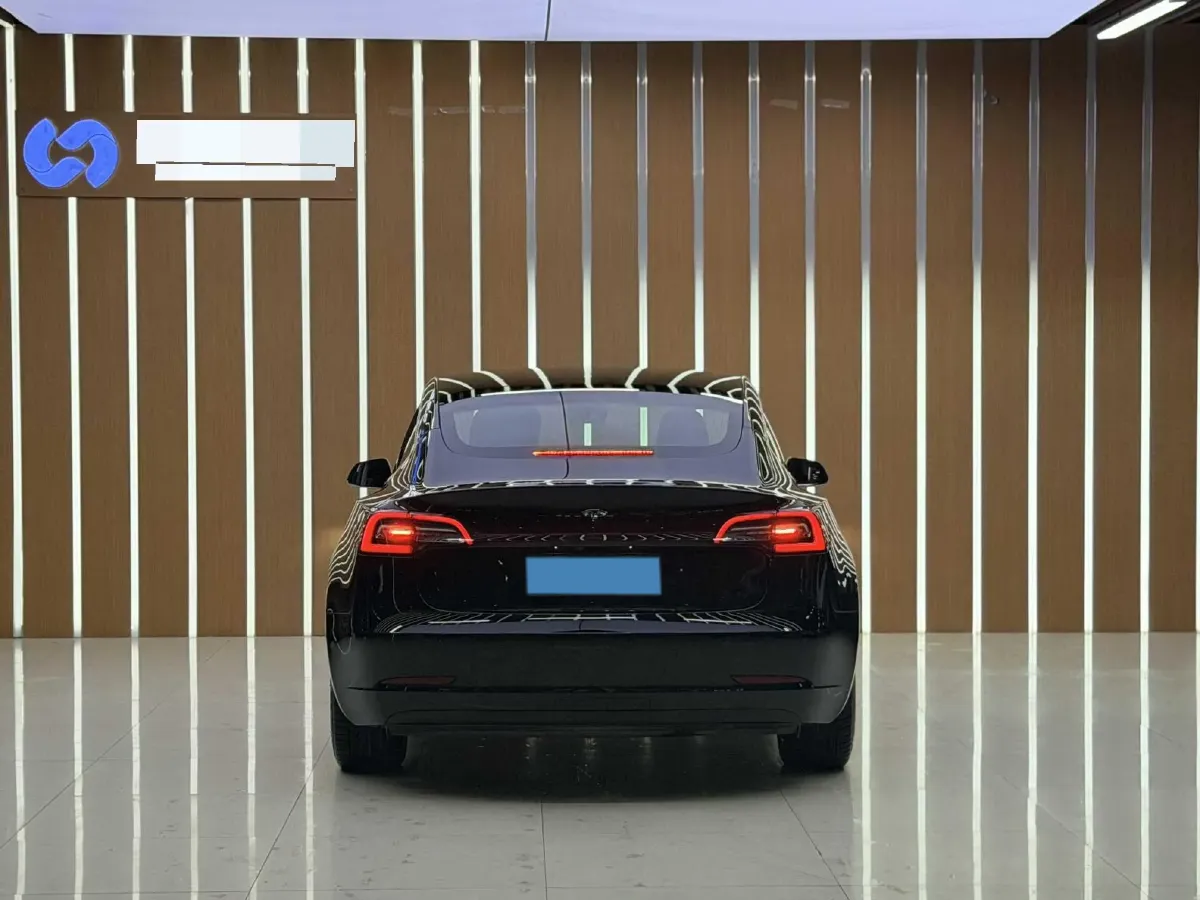 2021 Tesla Model 3 BEV 55KWH,autocango,china used car exporter,china ev exporter,chinese used car exporter,chinese used ev exporter