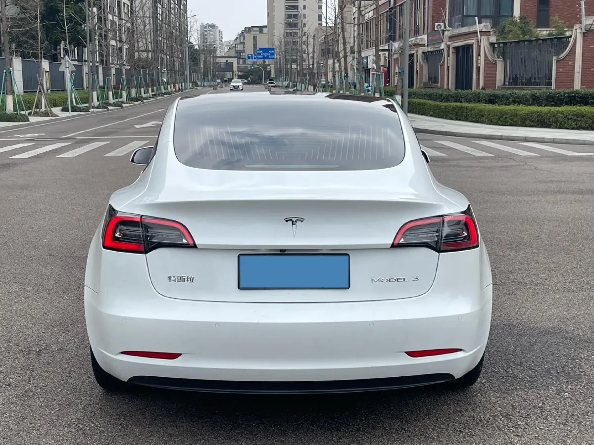 2020 Tesla Model 3 BEV 52KWH,autocango,china used car exporter,china ev exporter,chinese used car exporter,chinese used ev exporter