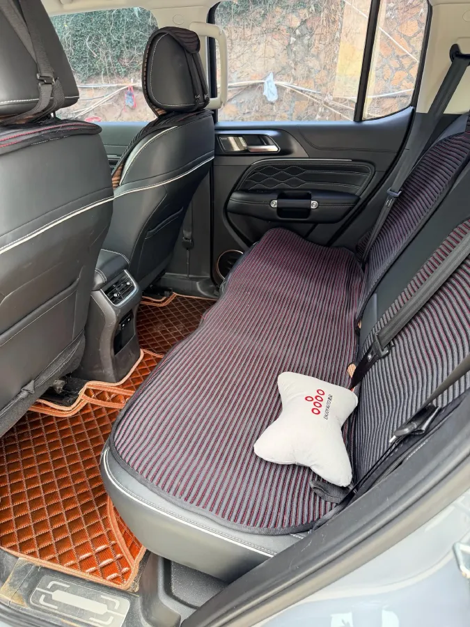 2024 Tank 300 2.0T 227HP L4 8AT,autocango,china used car exporter,china ev exporter,chinese used car exporter,chinese used ev exporter