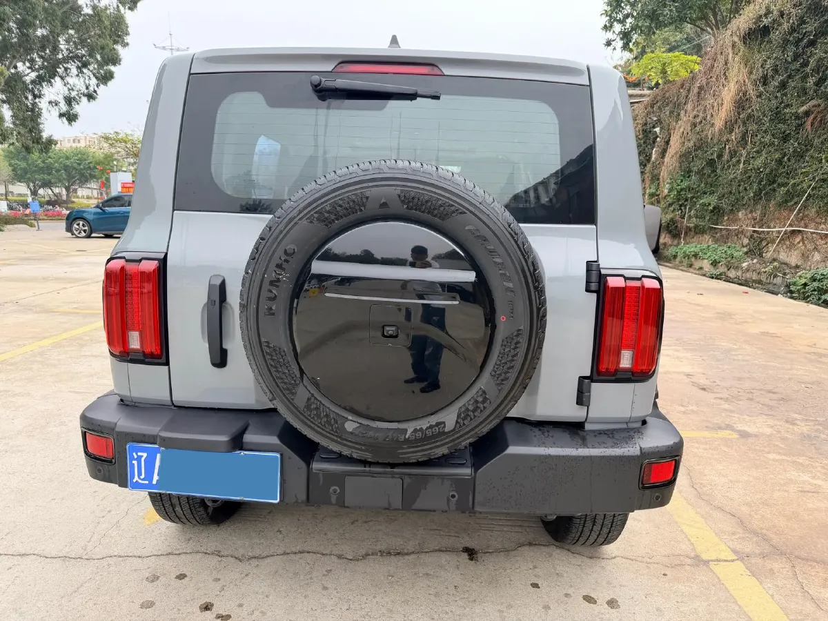 2024 Tank 300 2.0T 227HP L4 8AT,autocango,china used car exporter,china ev exporter,chinese used car exporter,chinese used ev exporter