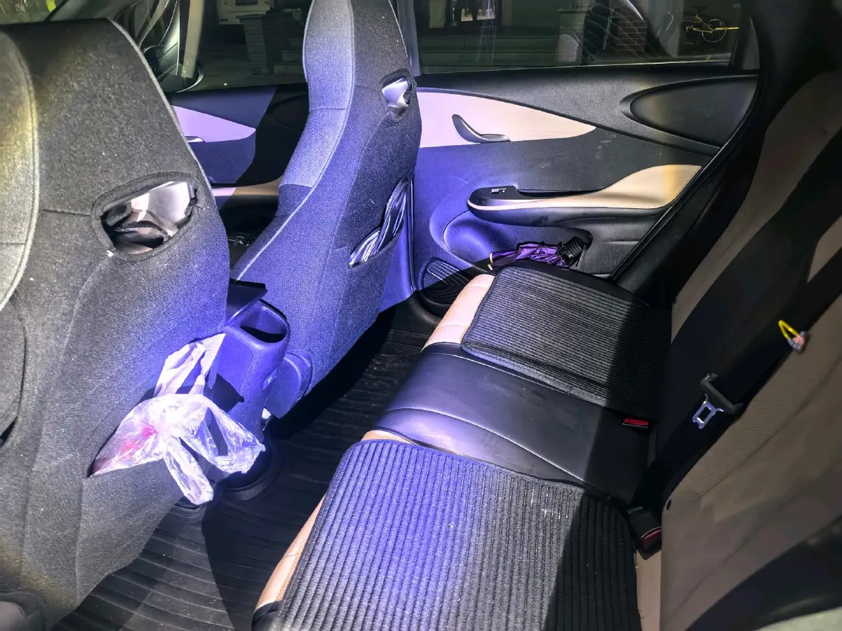 2023 BYD Dolphin BEV 44.928KWH,autocango,china used car exporter,china ev exporter,chinese used car exporter,chinese used ev exporter