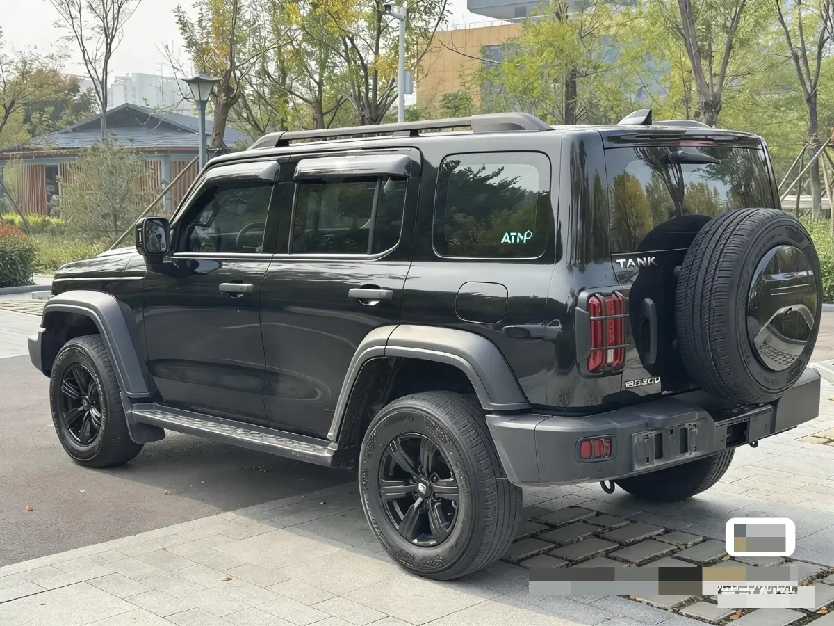 2021 Tank 300 2.0T 227HP L4 8AT,autocango,china used car exporter,china ev exporter,chinese used car exporter,chinese used ev exporter