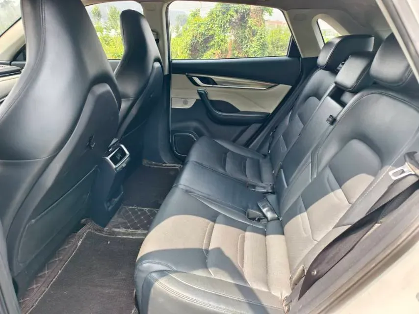 2021 Weltmeister EX5 BEV 52.704KWH,autocango,china used car exporter,china ev exporter,chinese used car exporter,chinese used ev exporter