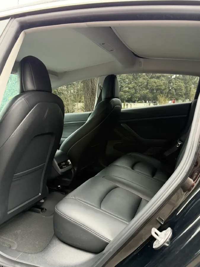 2020 Tesla Model 3 BEV 52KWH,autocango,china used car exporter,china ev exporter,chinese used car exporter,chinese used ev exporter