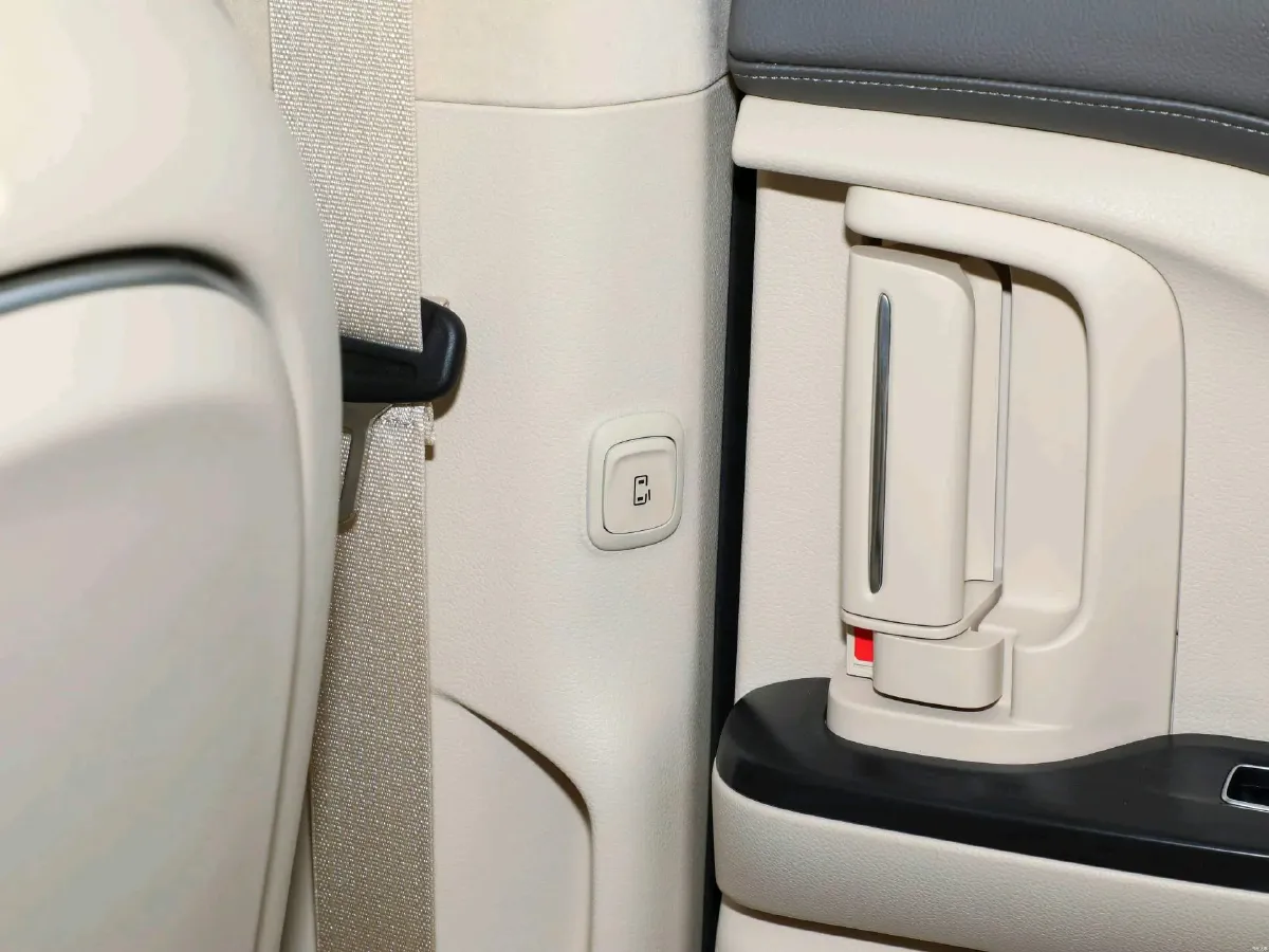 2024 Voyah Dream 1.5T 150HP L4 PHEV 43KWH,autocango,china used car exporter,china ev exporter,chinese used car exporter,chinese used ev exporter