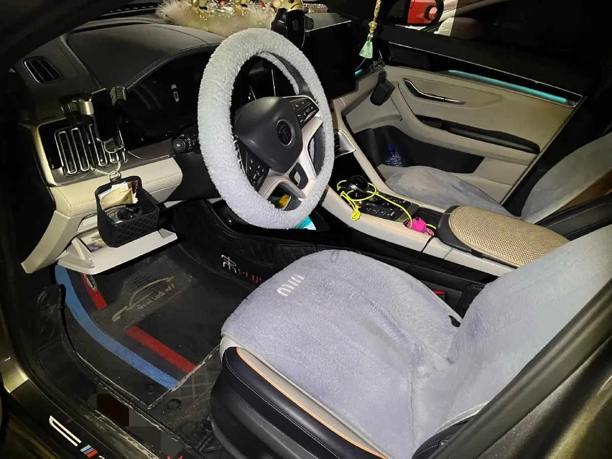 2021 BYD Qin BEV 53.56KWH,autocango,china used car exporter,china ev exporter,chinese used car exporter,chinese used ev exporter