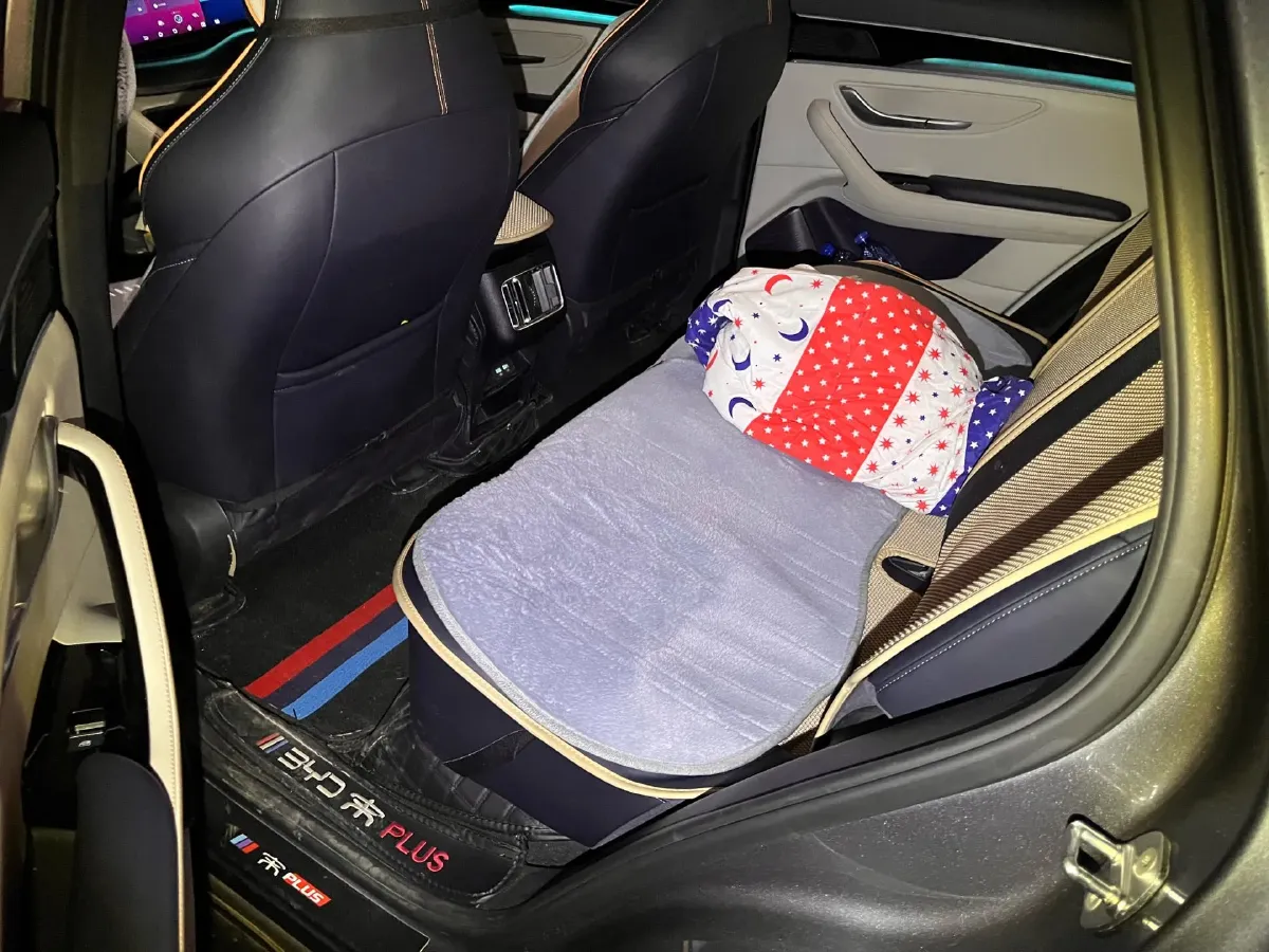 2021 BYD Qin BEV 53.56KWH,autocango,china used car exporter,china ev exporter,chinese used car exporter,chinese used ev exporter